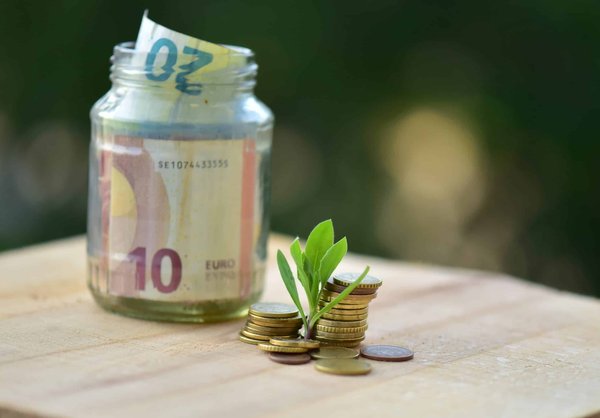 bons plans cuisine : astuces pour faire des économies sur les produits de la mer