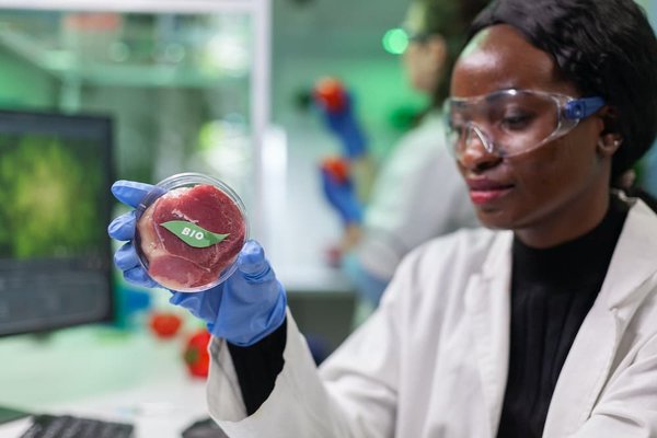 Comment préparer des repas végétariens pour toute la semaine ?